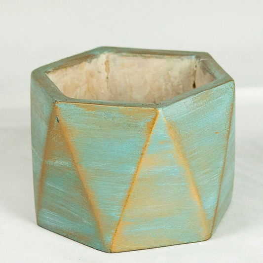 Hexagonal ceramic planter with geometric design on a white background