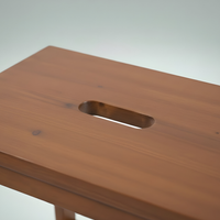 Stepping Stool