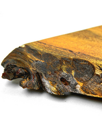 Trunk Wood Platter