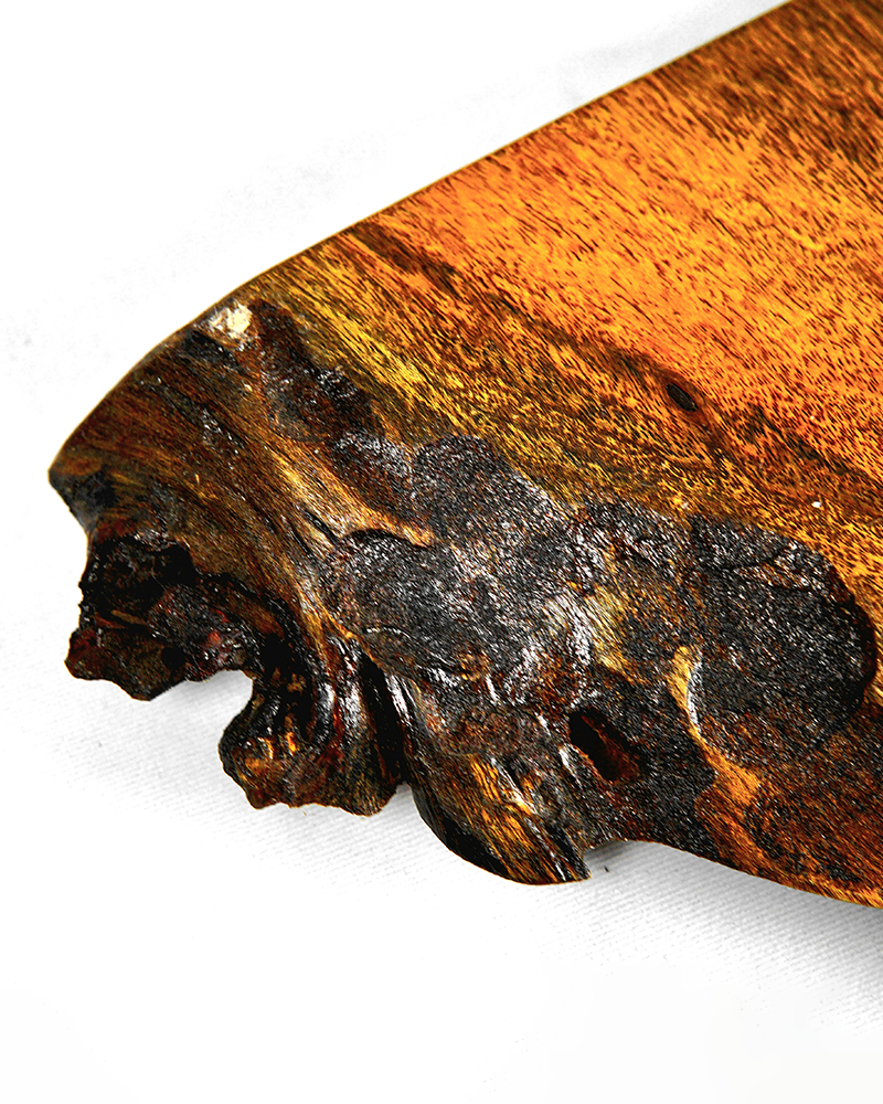 Trunk Wood Platter