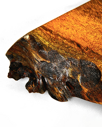 Trunk Wood Platter