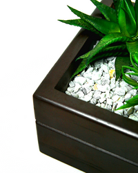 Minimilist Wood  Planter