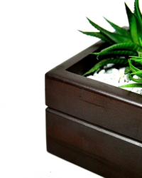 Minimilist Wood  Planter