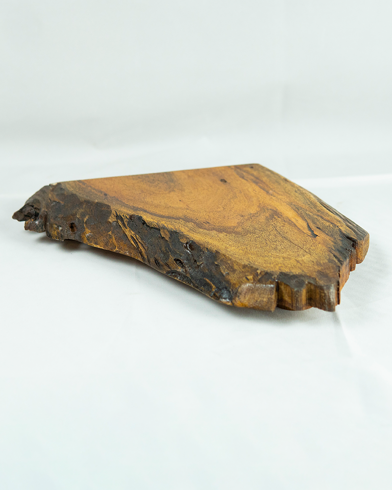 Trunk Wood Platter