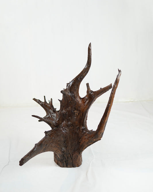 Root Sculpture