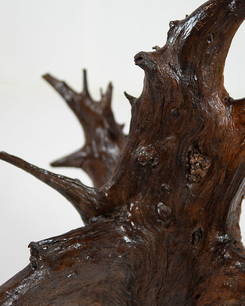 Root Sculpture